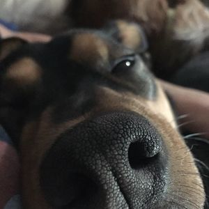 Meet your Posher, Ben